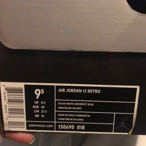 Air Jordan #12 retro